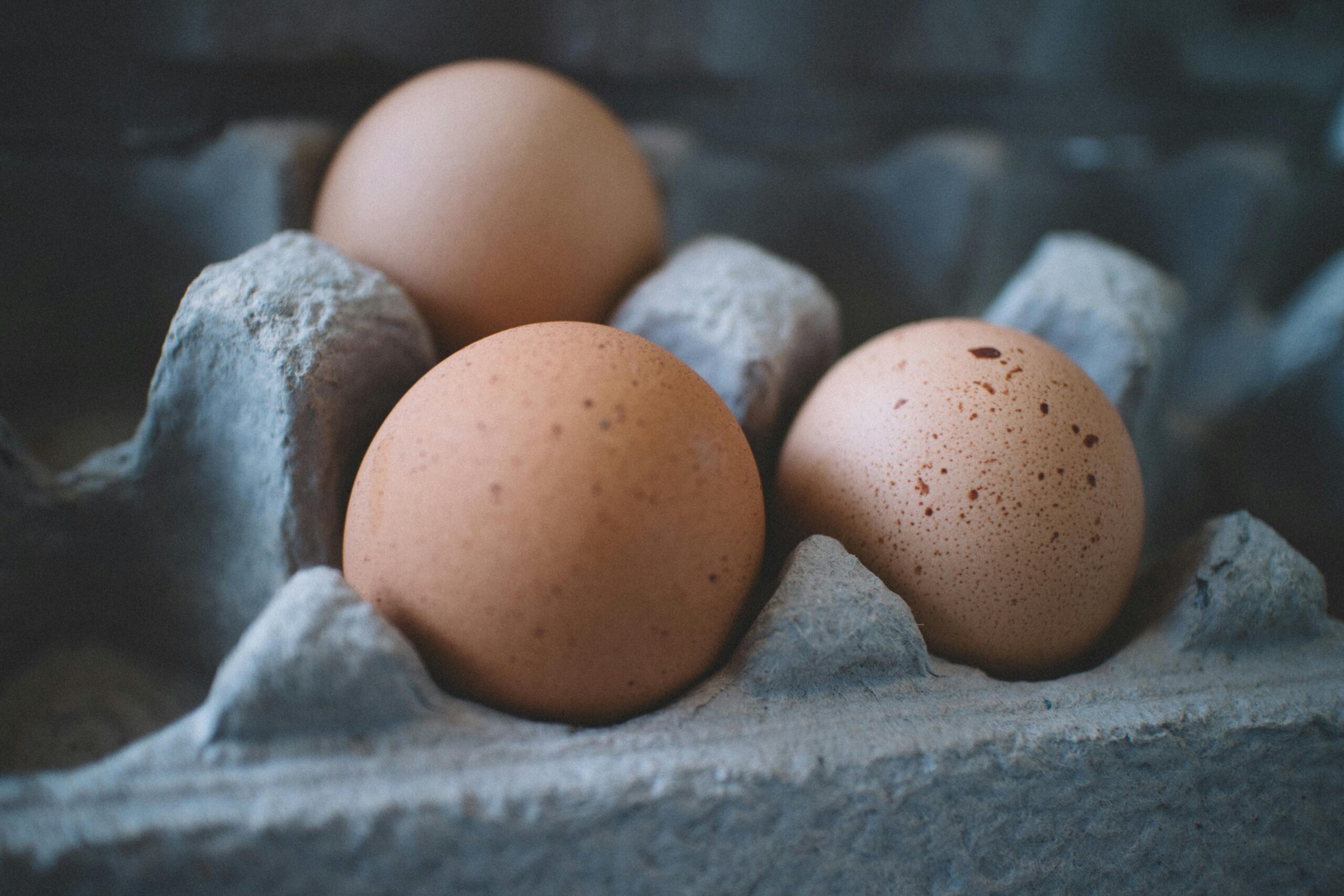 An image of Egg, a food rich in protein 